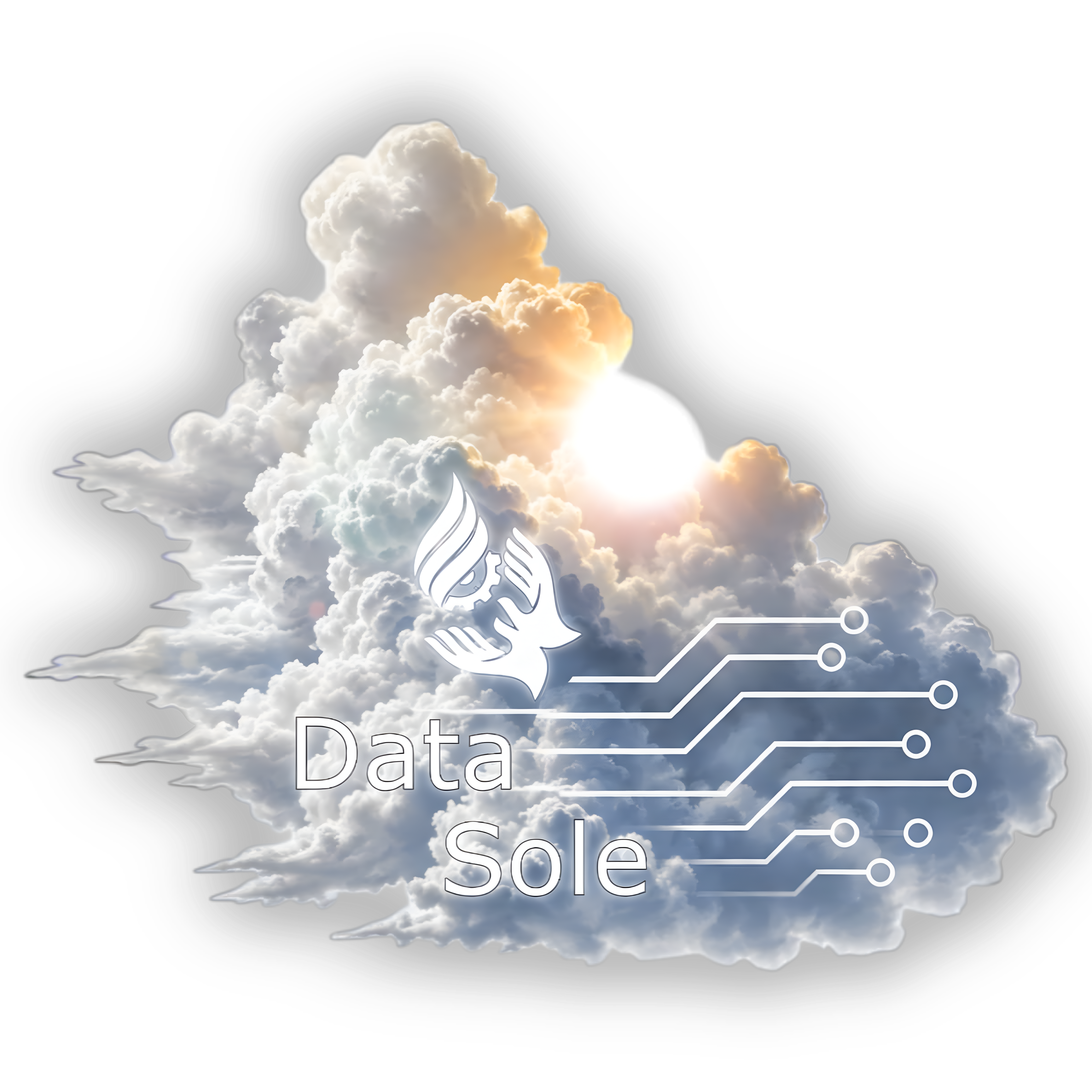 Data Sole Logo